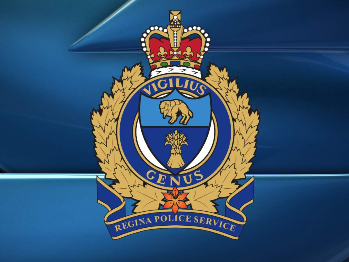 Teen and woman face 35 charges after Regina Police conduct search warrant - image