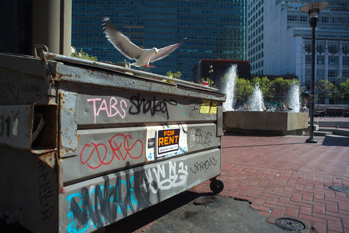 Want to rent this dumpster? San Francisco 'rental' photos strike a chord