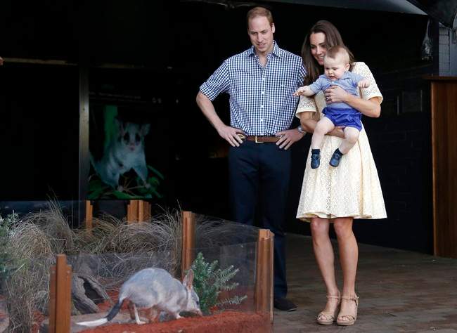 Britain\’s Kate, the Duchess of Cambridge, and her husband Britain\’s Prince William, watch as their son Prince George looks at an Australian animal called a Bilby, which has been named after the young prince, during a visit to Sydney\’s Taronga Zoo, Australia Sunday, April 20, 2014.