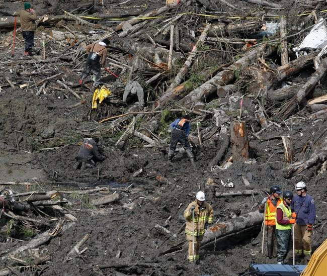 Grim duty: Team works nonstop to ID remains - image