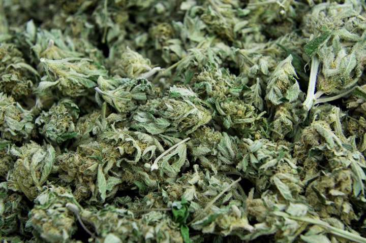 Number of drug trafficking charges laid after three men were arrested in Yorkton, Saskatchewan.