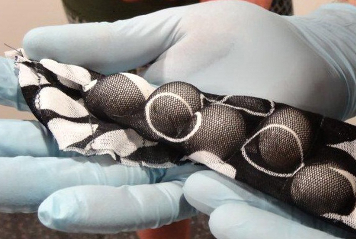 This Tuesday, May 20, 2014 photo provided by Australian Customs and Border Protection Service shows small bird eggs hidden in a strip of fabric which was removed from a traveler at Sydney international airport after he arrived from Dubai. 