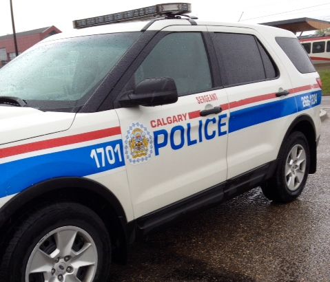 Calgary police have laid charges in more than a dozen break-ins in.