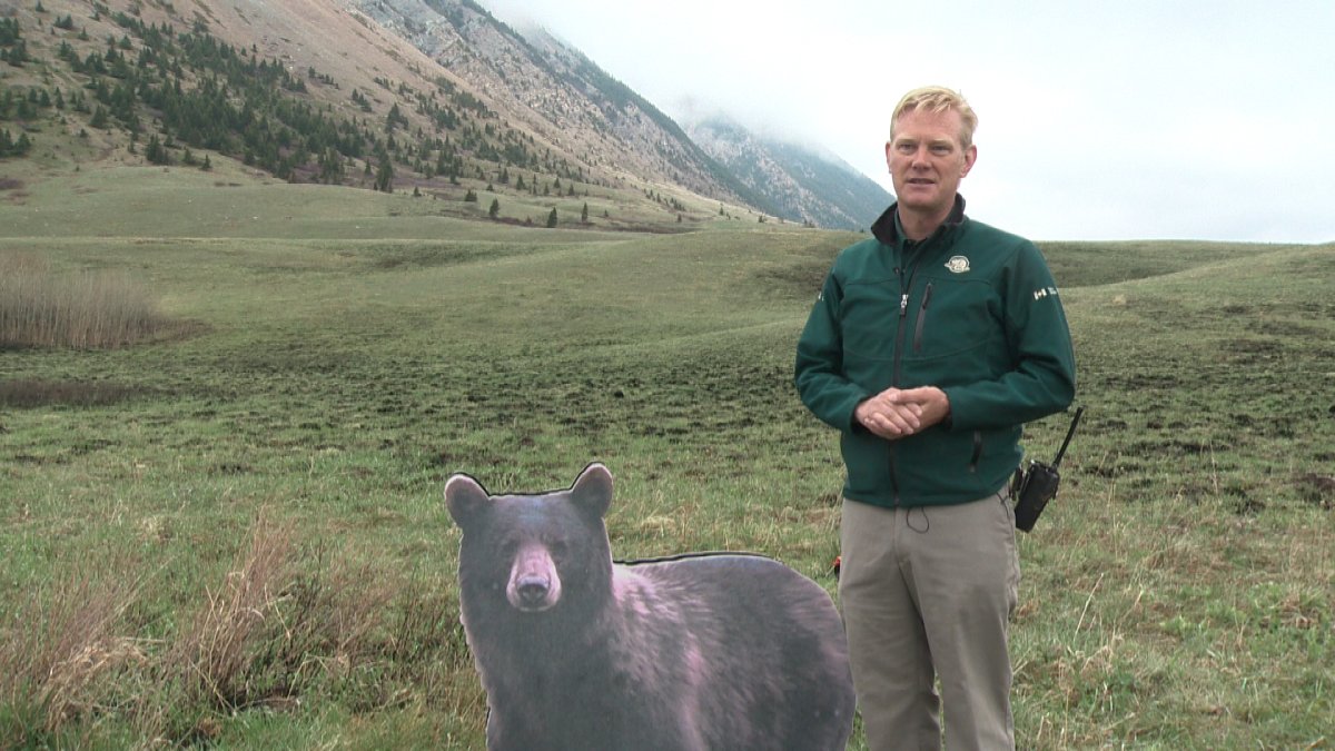 Visitors to Waterton Lakes National Park urged to obey wildlife rules - image
