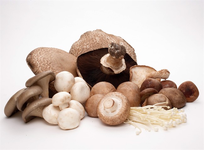 Some tips on caring for mushrooms