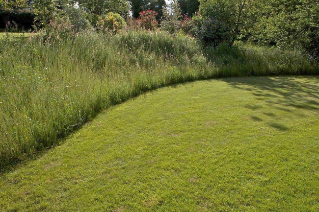 Natural lawn deals