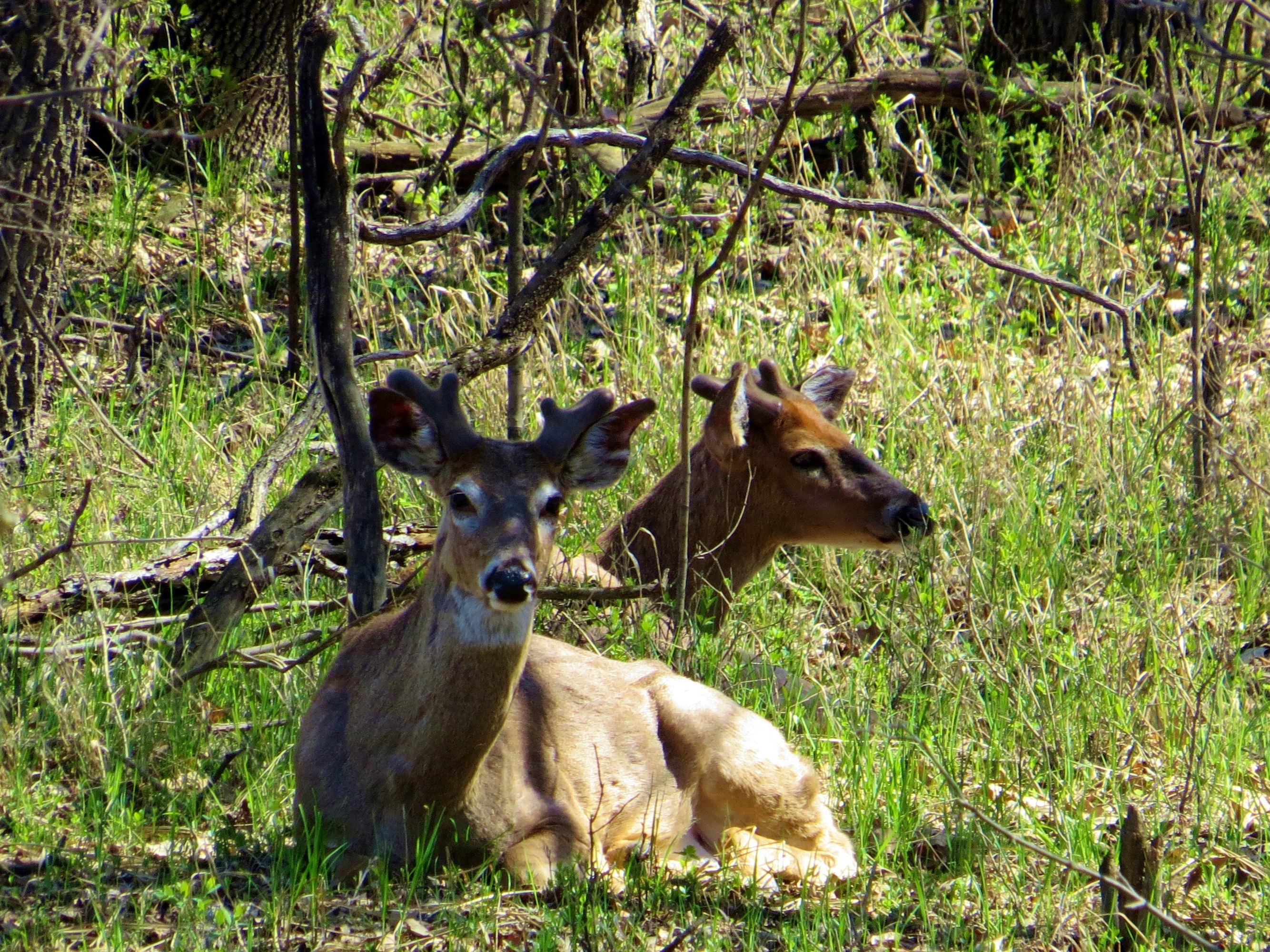Правителството на Манитоба казва че актуализира начина по който оценява