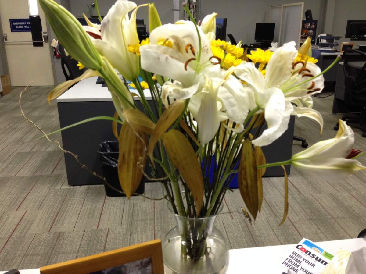Flower delivery service receives wilting criticism from B.C. customers - image