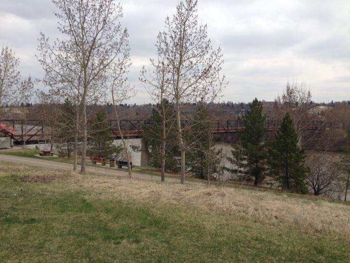 The pedestrian bridge that crosses the North Saskatchewan River from Louise McKinney Park to Cloverdale is slated to be removed to make way for the Valley LRT Line.