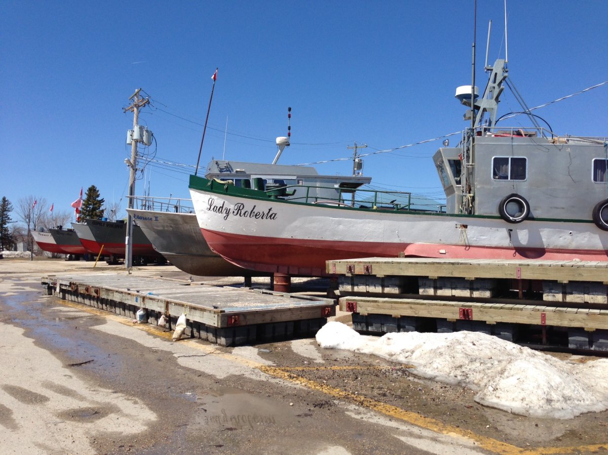 Fishing boats could stay land locked if the government closes Gimli harbour to fight zebra mussels.