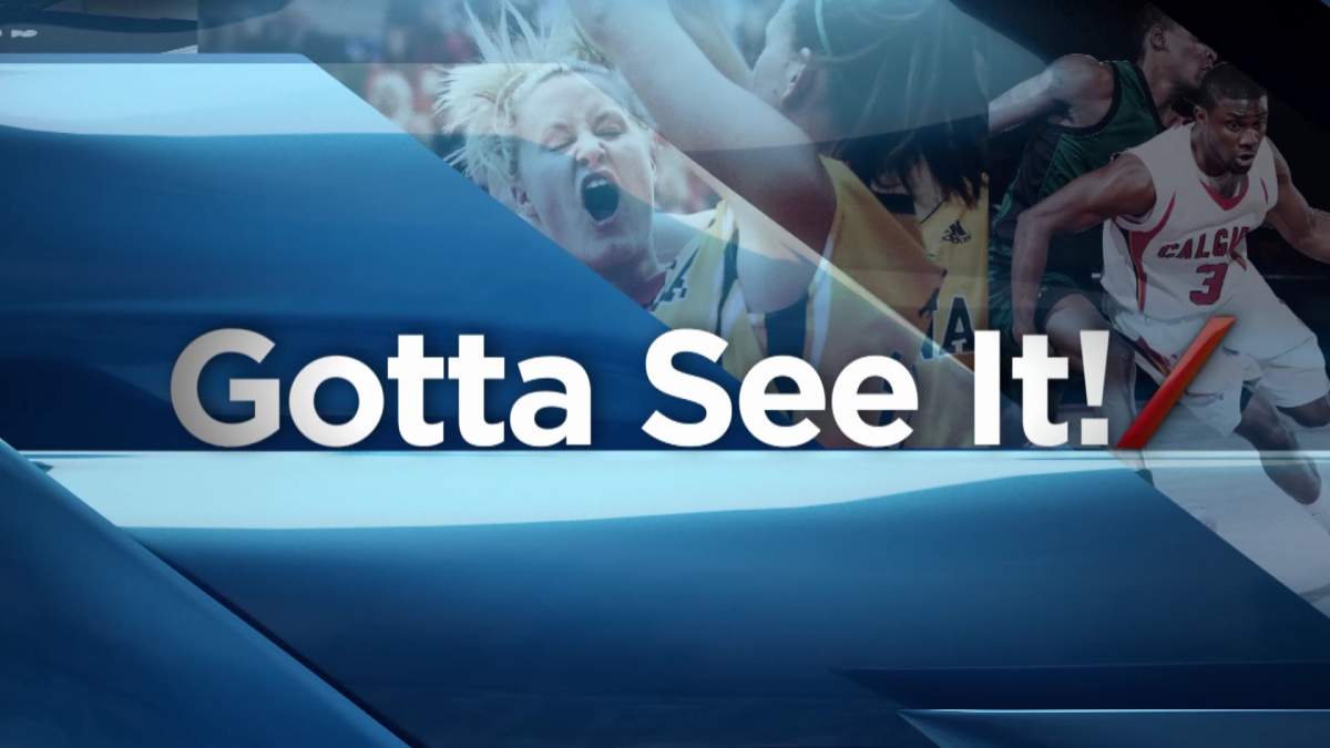 About Gotta See It! - image