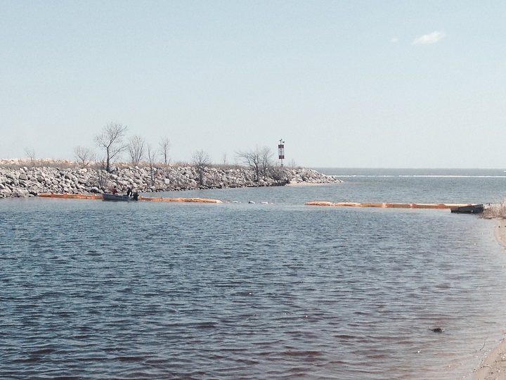 Crews extend curtain across harbour at Winnipeg Beach for zebra mussel treatment on Friday May 23, 2014.
