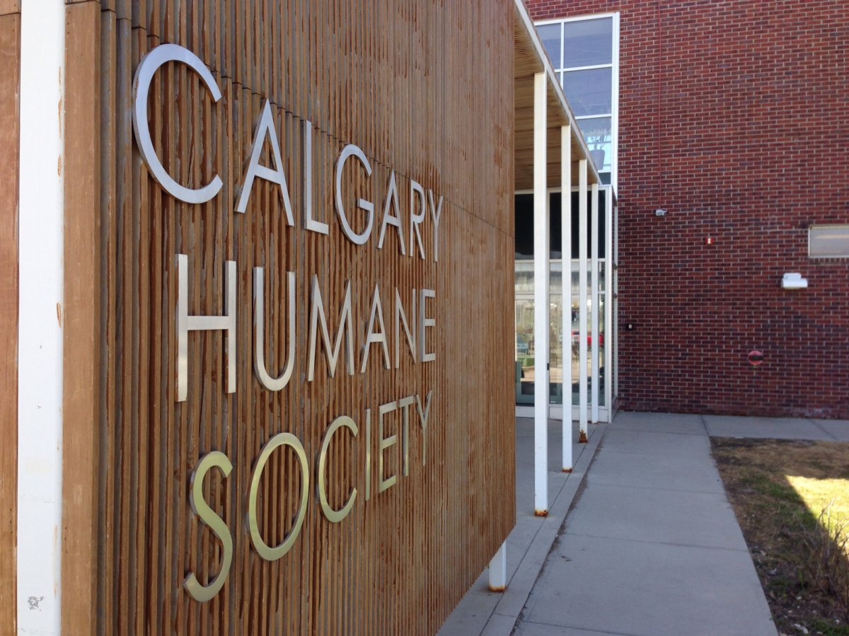 The Calgary Humane Society located on 110th Avenue S.E.
