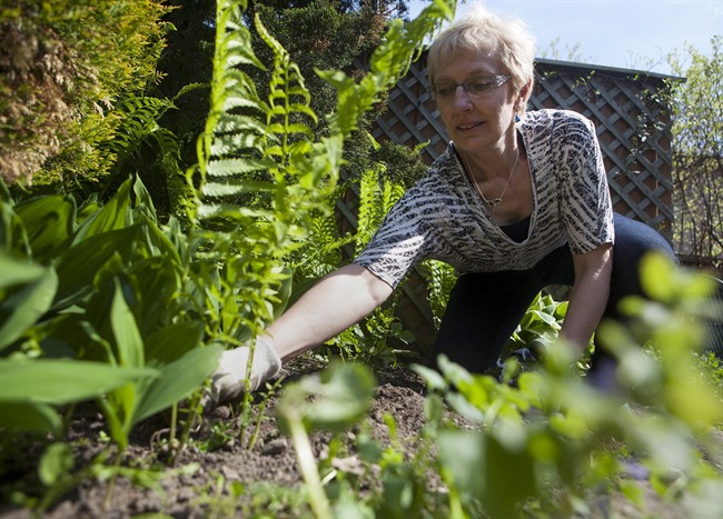 Gardening Hazards And How To Avoid Them | Globalnews.ca