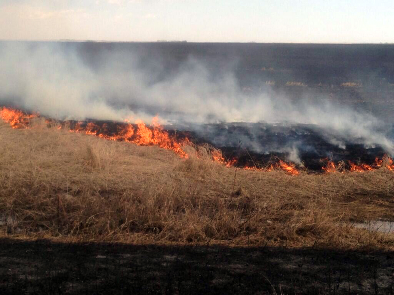 Emergency crews responded to a large grass fire near the hamlet of Kronau, SK early Friday afternoon.