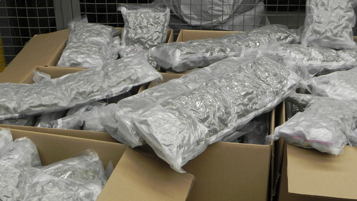 RCMP in Manitoba seized 62 kilograms of marijuana from a semi-trailer truck driven by a Nova Scotian on Monday.