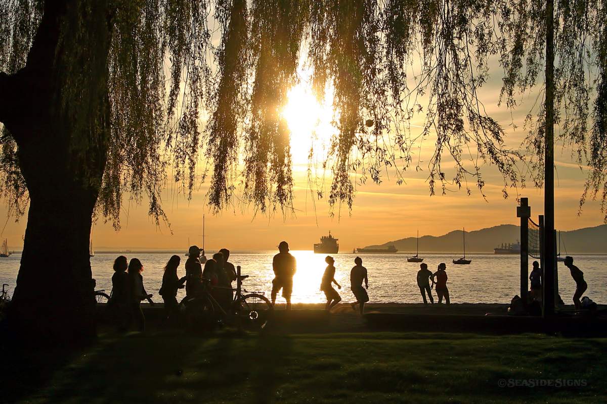 Kits beach has been closed to swimming due to hazardous bacteria levels.