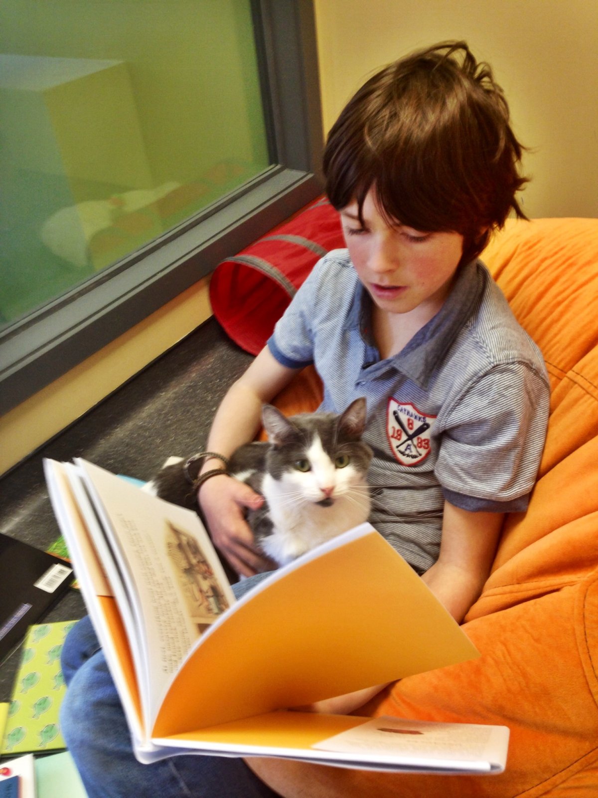 Calum Bainbridge, volunteer at Dundas West Hospital reads to cats.