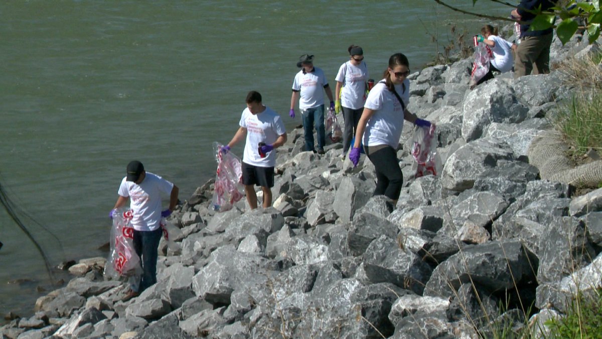 Volunteers cleanup banks of the Bow River.