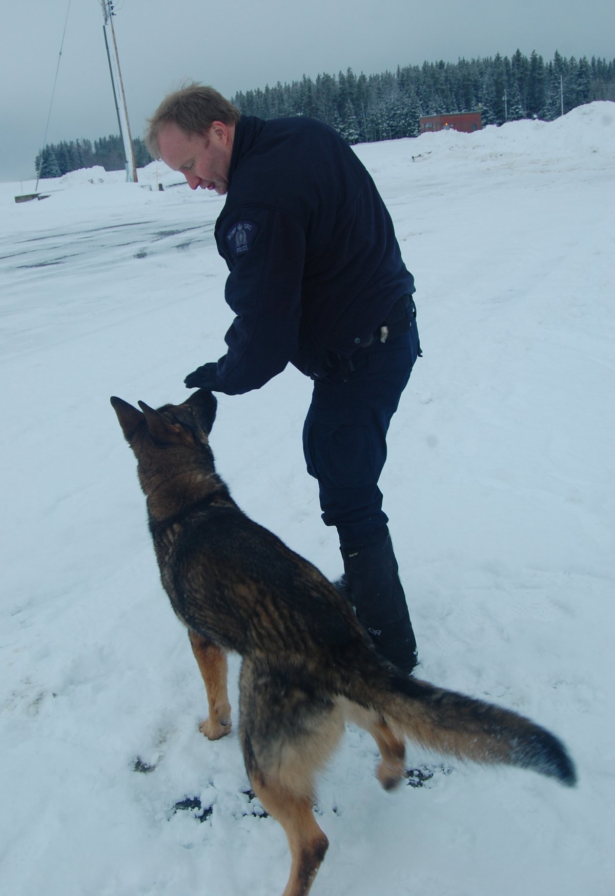 Rook and his handler Cpl. Trickett