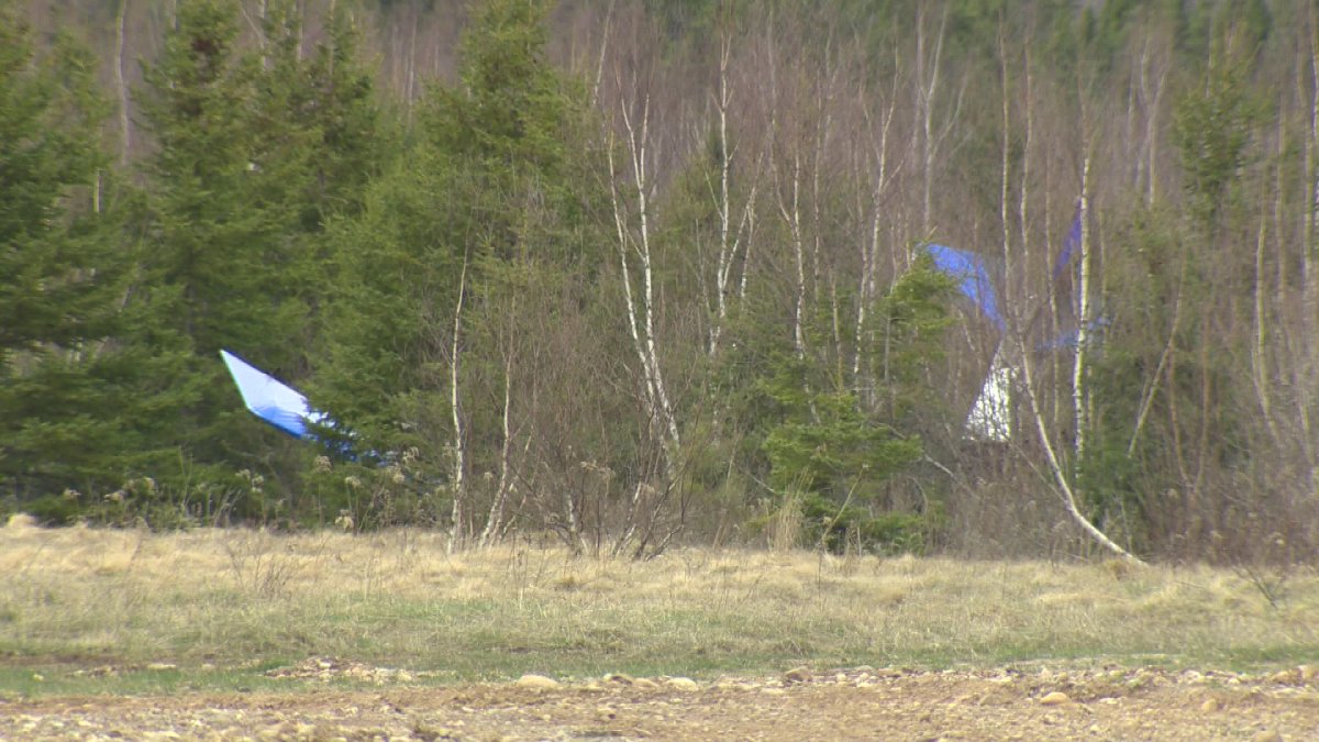 RCMP have identified a woman killed after the ultralight plane she was piloting crashed in Nova Scotia's Hants County.