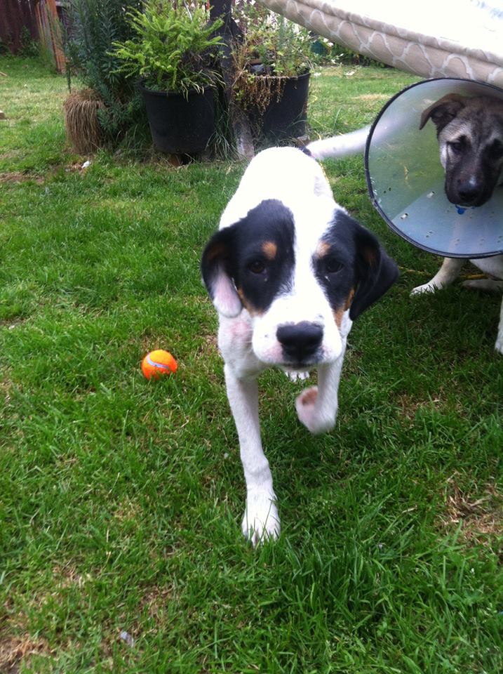 Thomas is making a slow recovery after being found close to death.