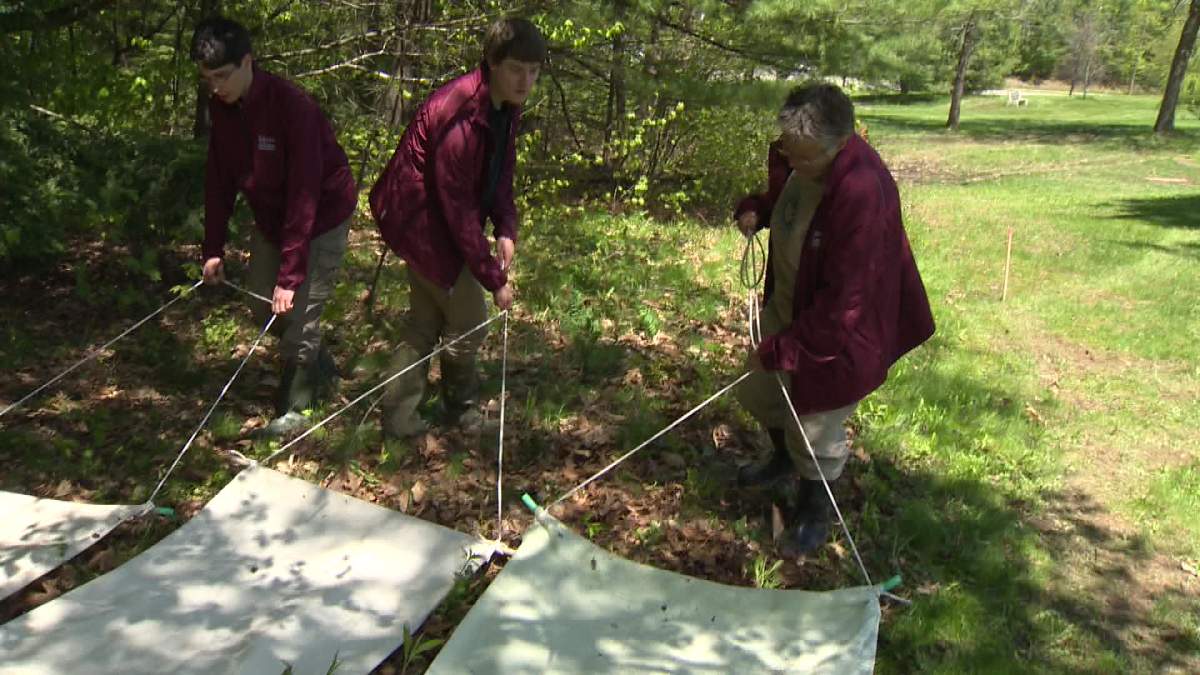 Researchers from Mount Allison University are dragging for ticks in New Brunswick, looking to see if the ticks have a bacteria that causes Lyme disease.