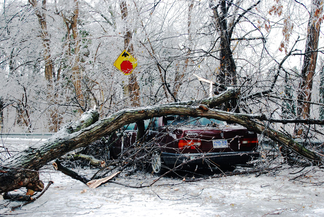 The Lawrence Park area hit by the ice storm, Toronto, Ont., Dec. 22, 2013.