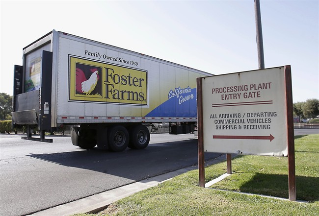 This Oct. 10, 2013 file photo shows a truck entering the Foster Farms processing plant in Livingston, Calif. 