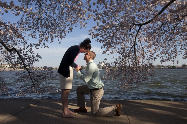 Steven Paska, 26, right, of Arlington, Va., asks his girlfriend of two years Jessica Deegan, 27, to marry him as cherry blossom trees in peak bloom line the tidal basin with the Jefferson Memorial in the background in Washington, Thursday, April 10, 2014. Deegan said yes to the surprise marriage proposal. (AP Photo/Jacquelyn Martin).