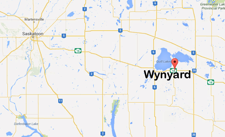 A car was found submerged after a collision with a moose near Wynyard, Saskatchewan.