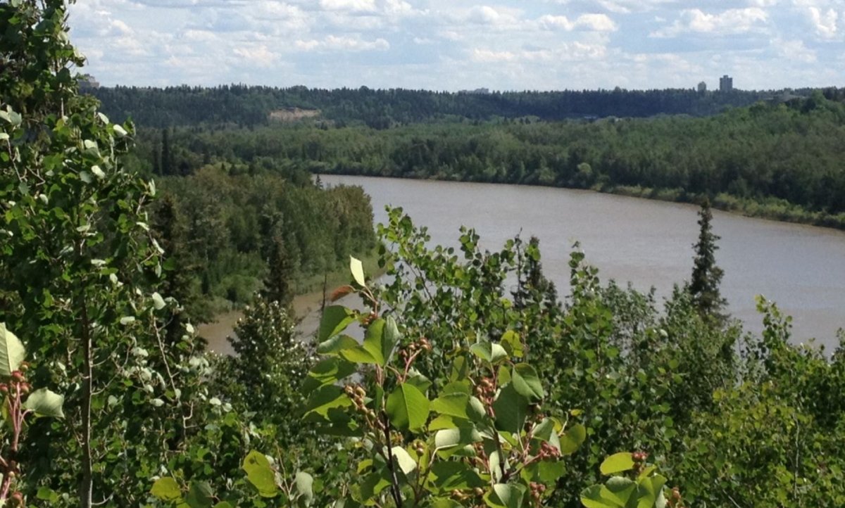North Saskatchewan River Valley. May 2014.