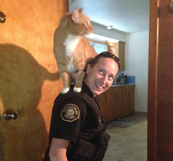 Officer Meow