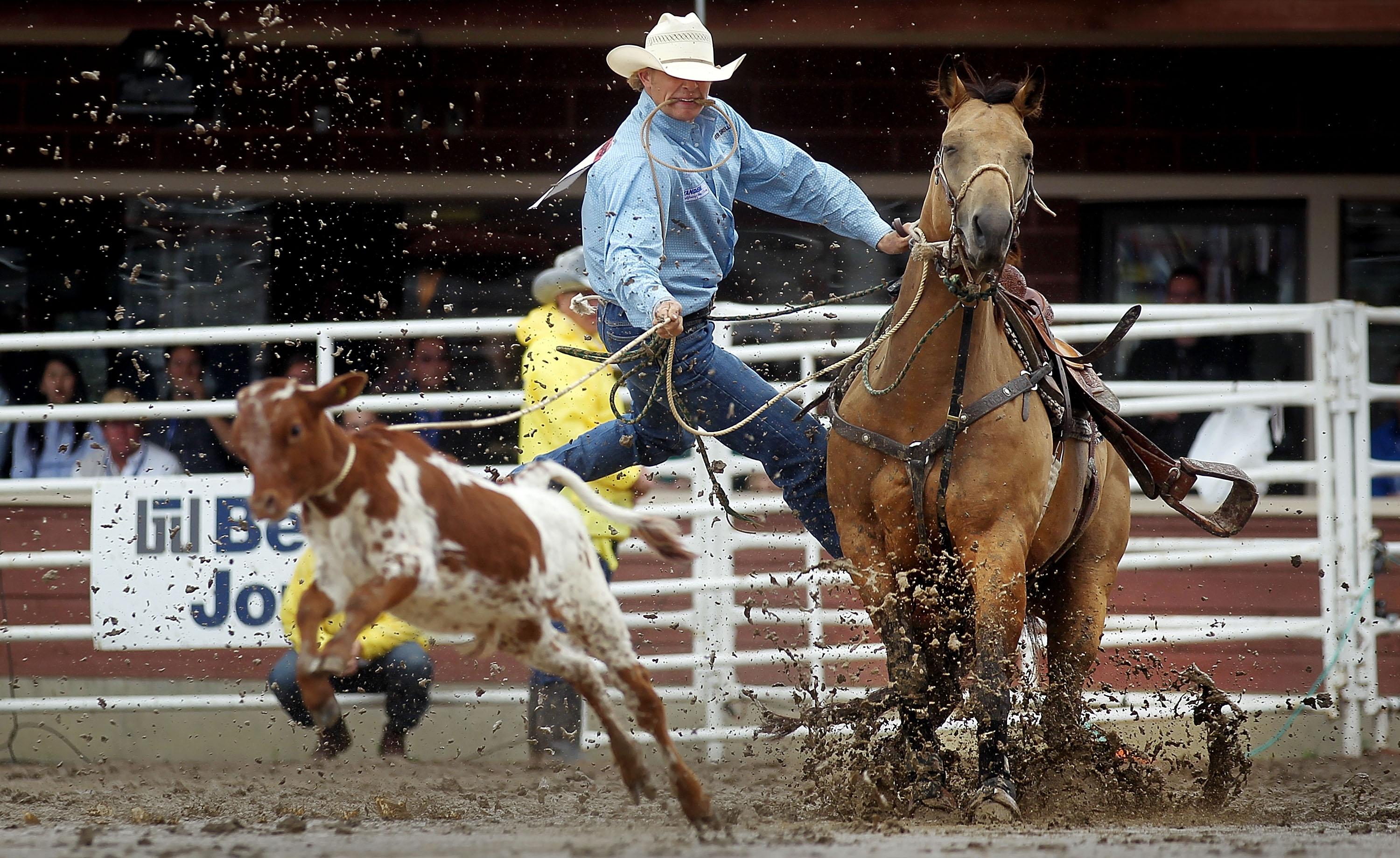 calgary stampede rodeo