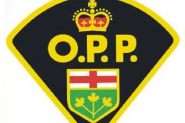 Ontario's provincial police logo.