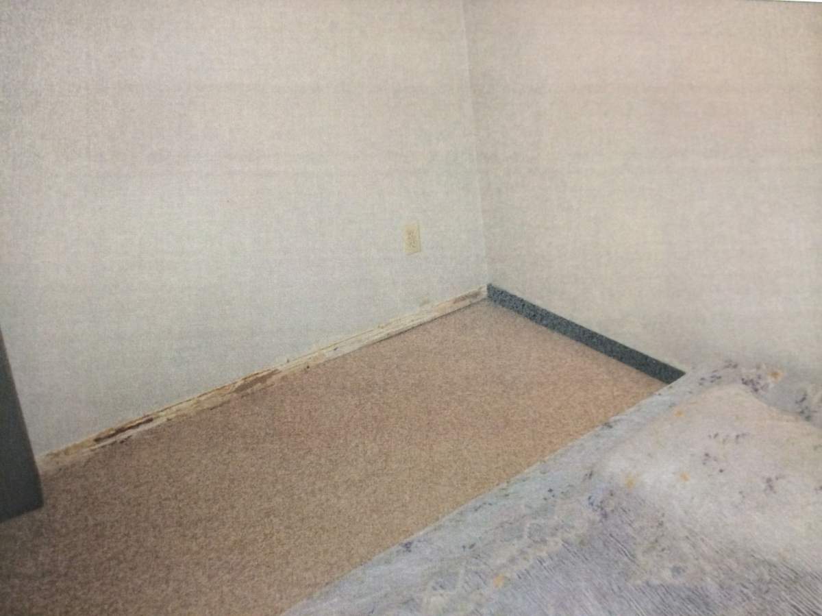 Baby M case evidence photos