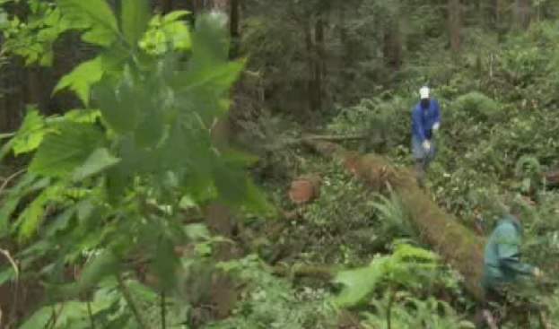 Volunteers work to build a new section of the trail.