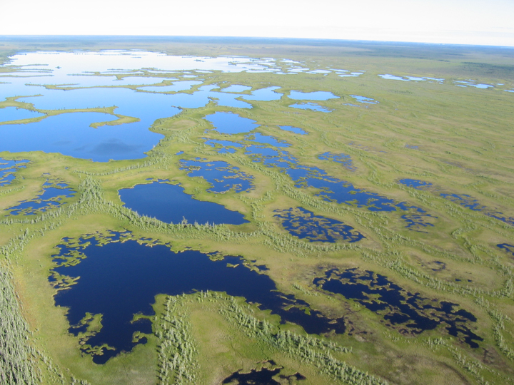 Huge Manitoba boreal forest needs protection, conservation groups say - image