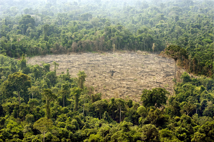 Aerial view of a deforested area at the Jamanxim National Forest, state of Para, northern Brazil, November 29, 2009.