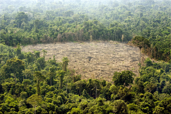 Aerial view of a deforested area at the Jamanxim National Forest, state of Para, northern Brazil, November 29, 2009. 