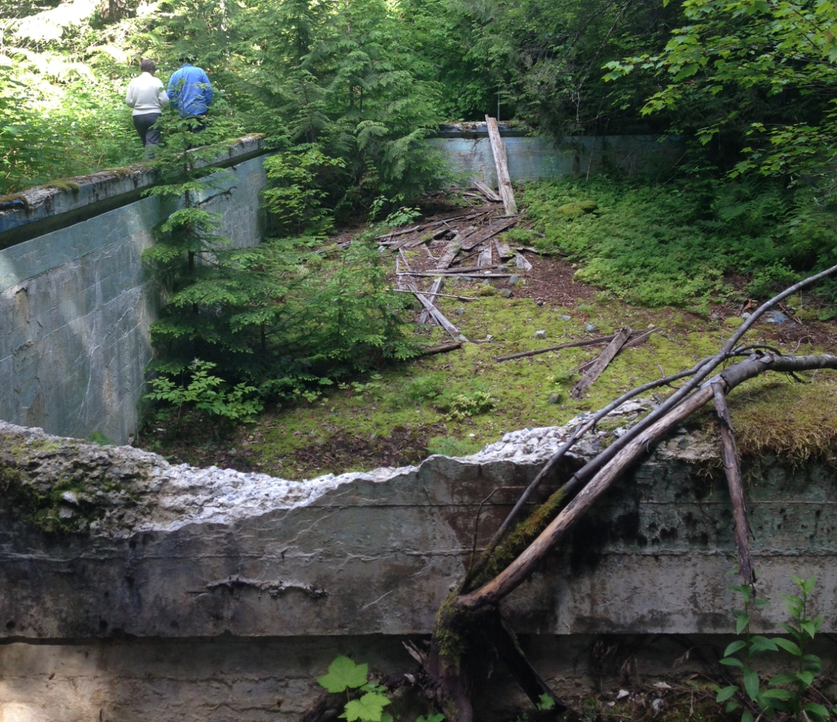 Ghost Town Mysteries: The swimming pool of Mount Sheer, B.C. - image