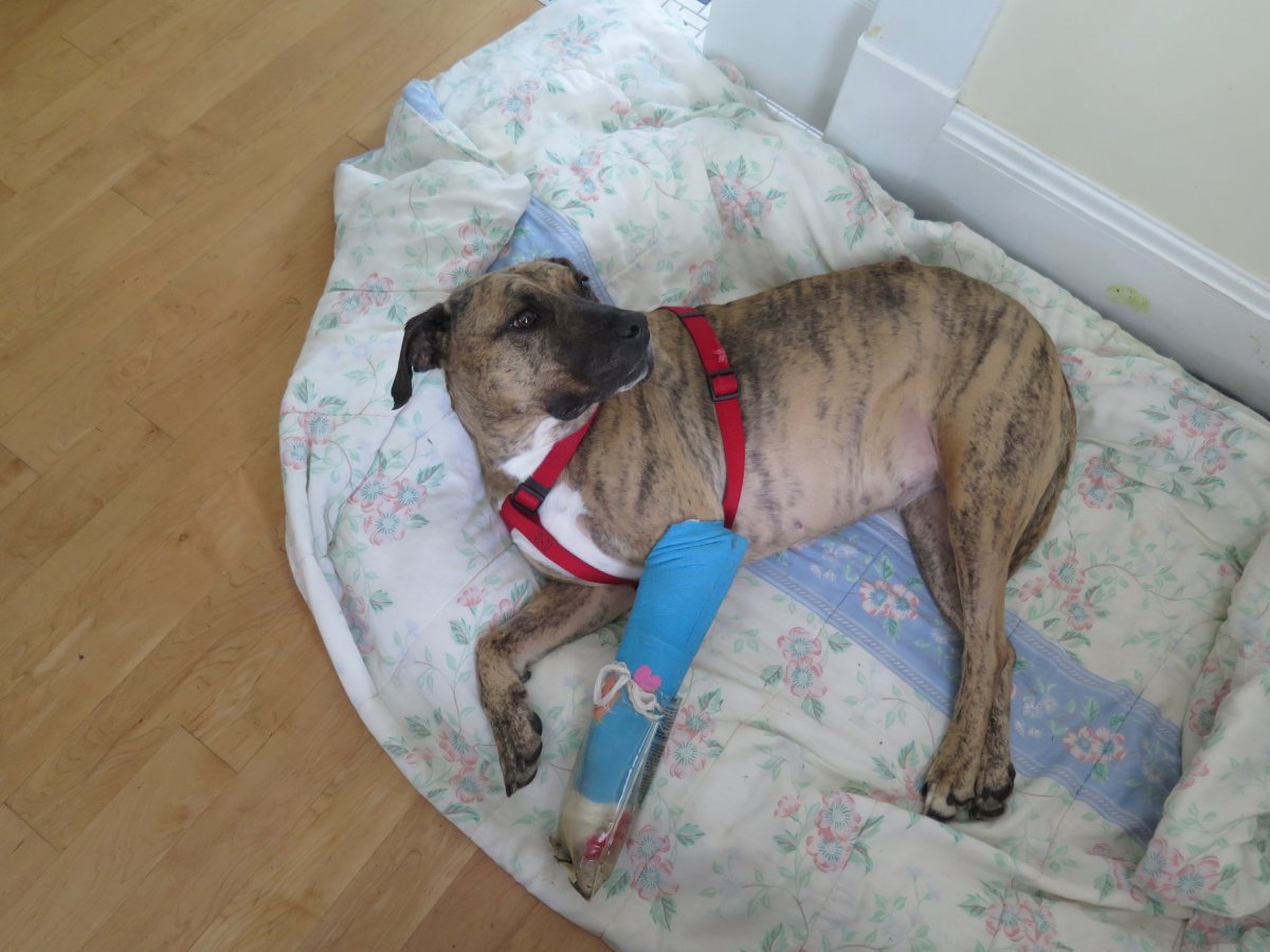 Bryn is now recovering after a brutal attack earlier this year.