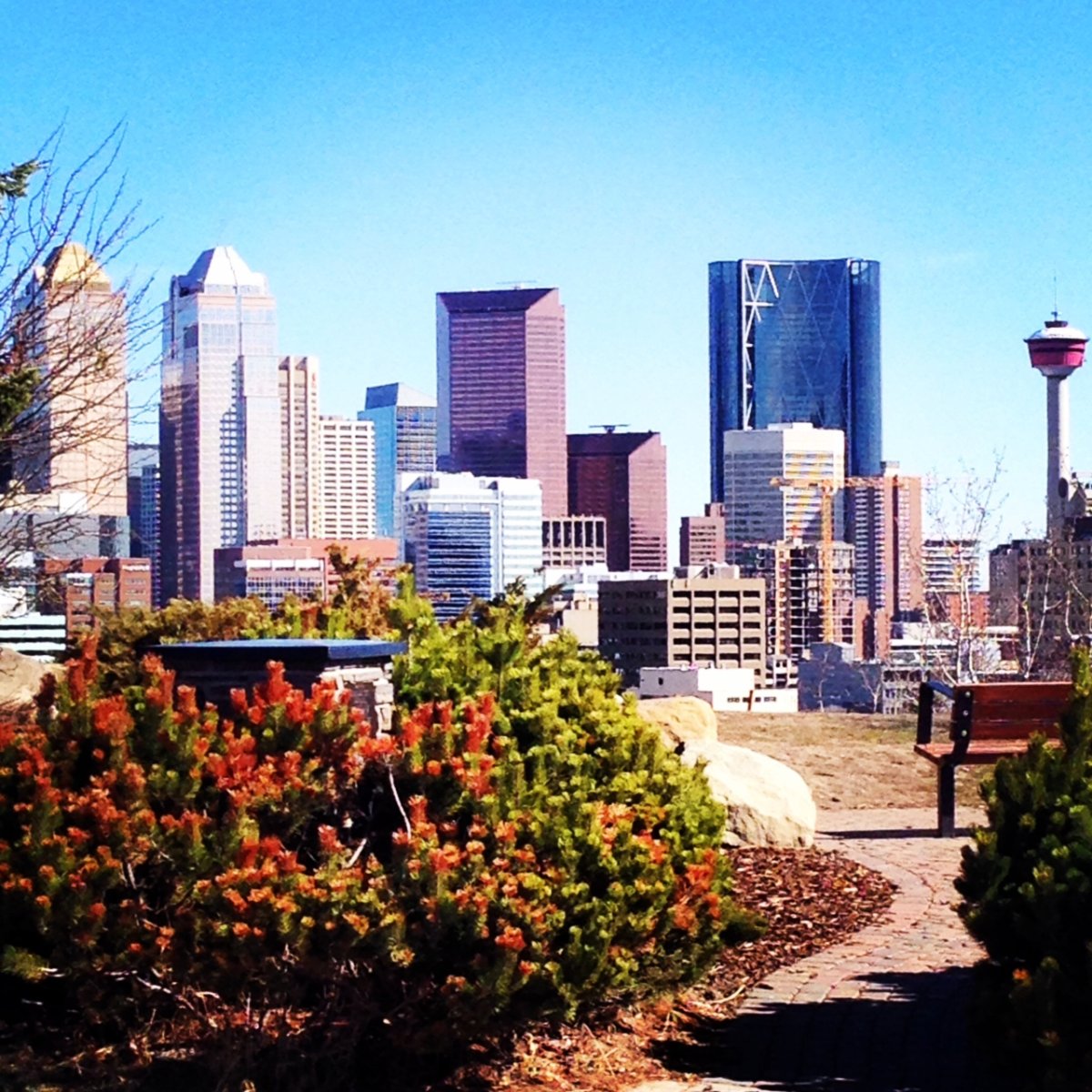 View of downtown Calgary from Hillcrest Avenue. 