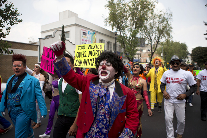 Clowns and other circus performers carry signs that read in Spanish "All of Mexico wants a circus with animals," and "Yes to a circus with animals," as they protest a new city ban on animals in circuses, in Mexico City, Tuesday, June 10, 2014.