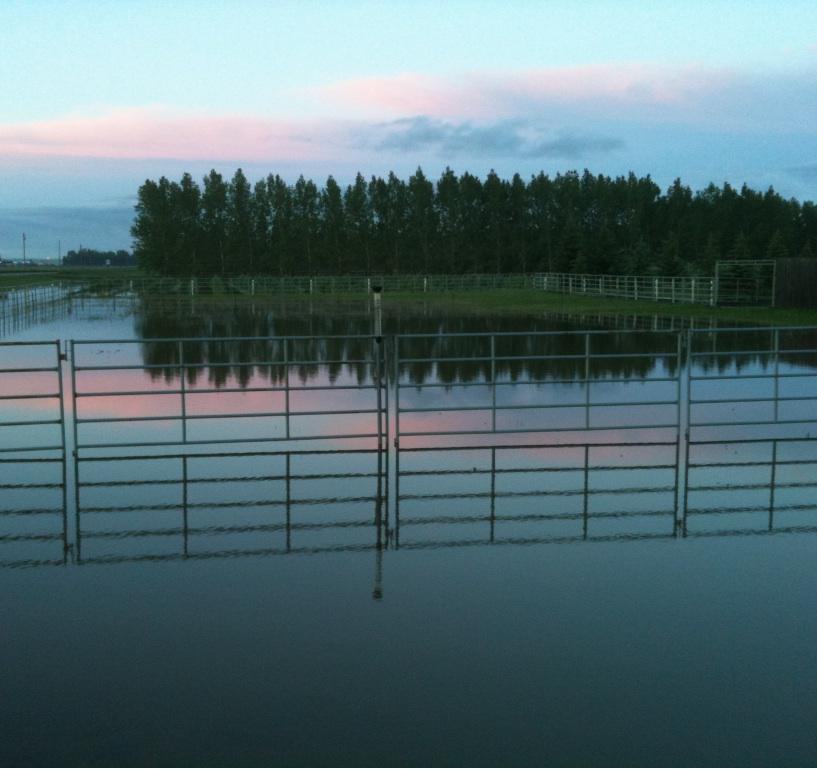 Flooding south of coaldale. Photo taken Thursday, June 19th, 2014.