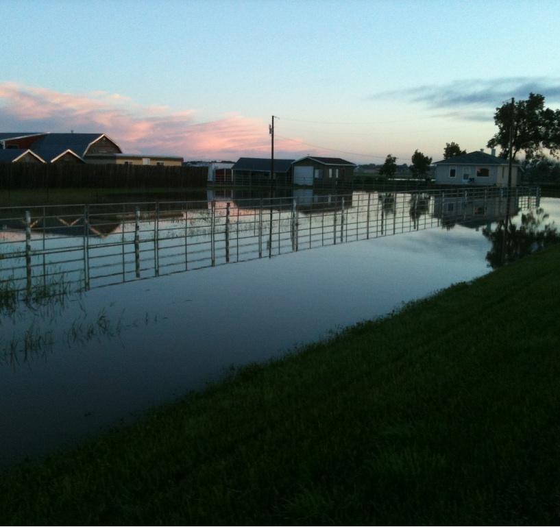 Flooding south of coaldale. Photo taken Thursday, June 19th, 2014.
