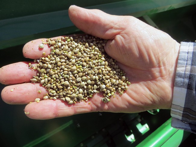 Industrial hemp seeds bound from Canada to Colorado have been seized by U.S. federal authorities in North Dakota.