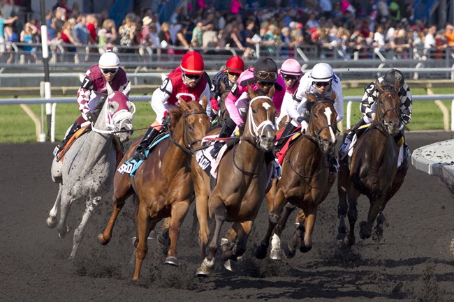 File photo: Jockey Patrick Husbands guides Lexie Lou (pink silks) to victory in the $500,000 Woodbine Oaks at Woodbine Racetrack in Toronto on Sunday, June 15, 2014.