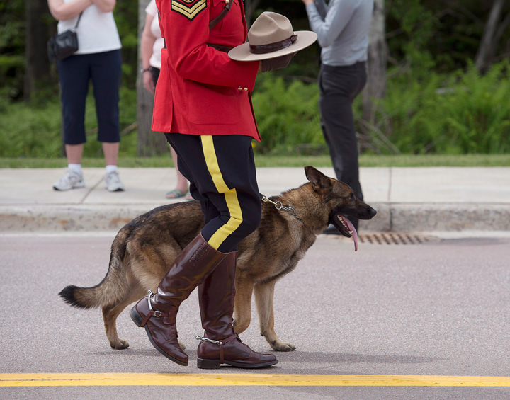 An officer holds Const. David Ross’s Stetson with Ross’s dog Danny at the funeral procession for the three RCMP officers who were killed on duty, at their regimental funeral at the Moncton Coliseum in Moncton, N.B. on Tuesday, June 10, 2014.