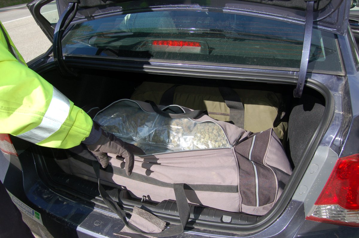 The 23-year-old man had a medical license for pot, but had 25 times the amount allowed. The marijuana was being transported in the trunk of his Chevrolet Cruze in large plastic bags.